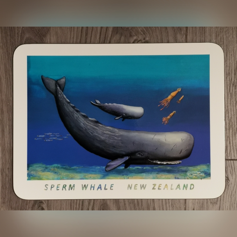 Jason Fish Placemats Set - "Underwater NZ" - Picture 7 of 10